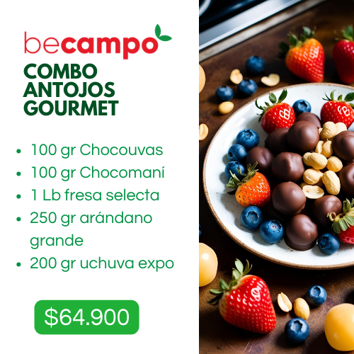 Combo Antojos gourmet