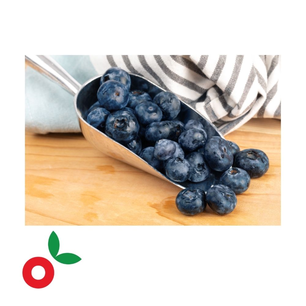 Arandano Jumbo x 500 gr