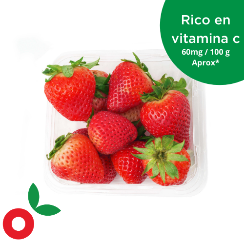 Fresa Jumbo Libra cosecha orgánica