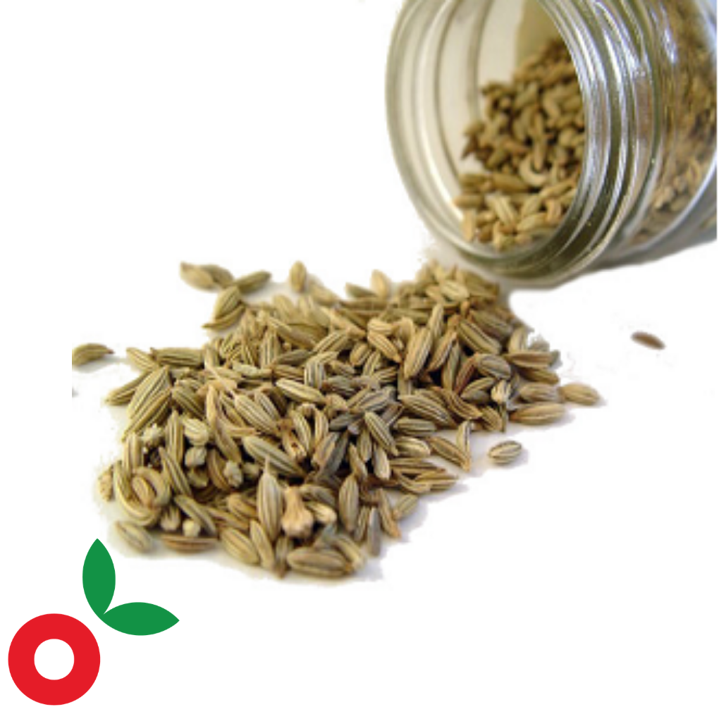 Eneldo pepa x 100 gr