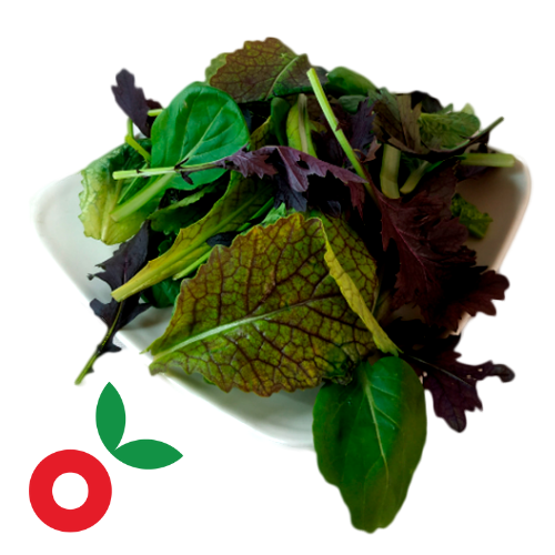 Ensalada mix de hojas baby ásiatico cosecha orgánica
