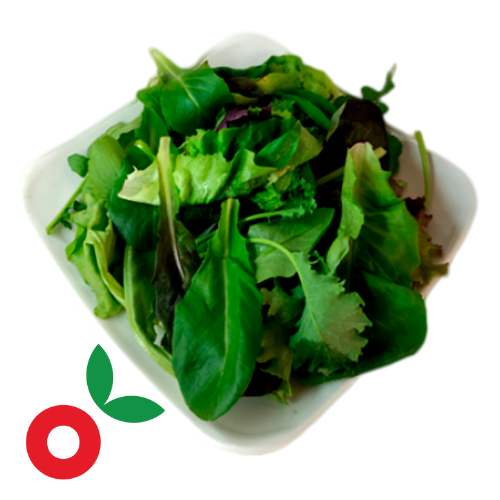 Ensalada mix de hojas baby oriental cosecha orgánica