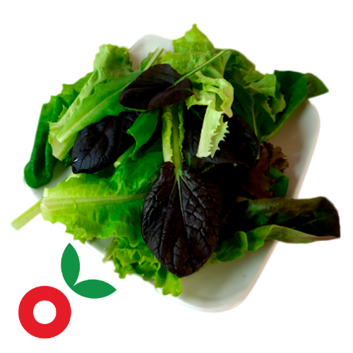 Ensalada mix de hojas baby Europeo suave cosecha orgánica