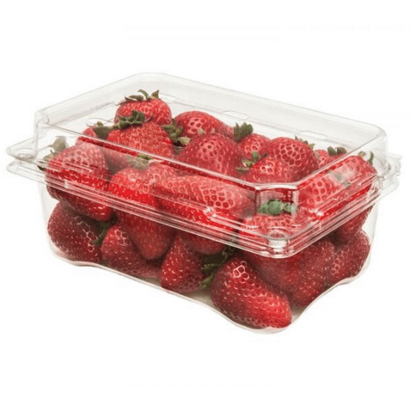 Fresa Selecta grande Libra cosecha orgánica