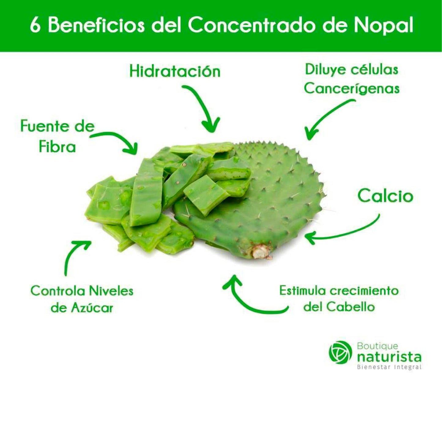 Hoja de Nopal cosecha orgánica