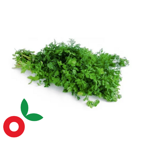 Cilantro patimorado nacional 90GR aprox cosecha orgánica