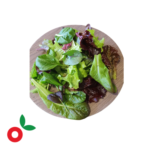 Ensalada mix de hojas baby Alegría cosecha orgánica