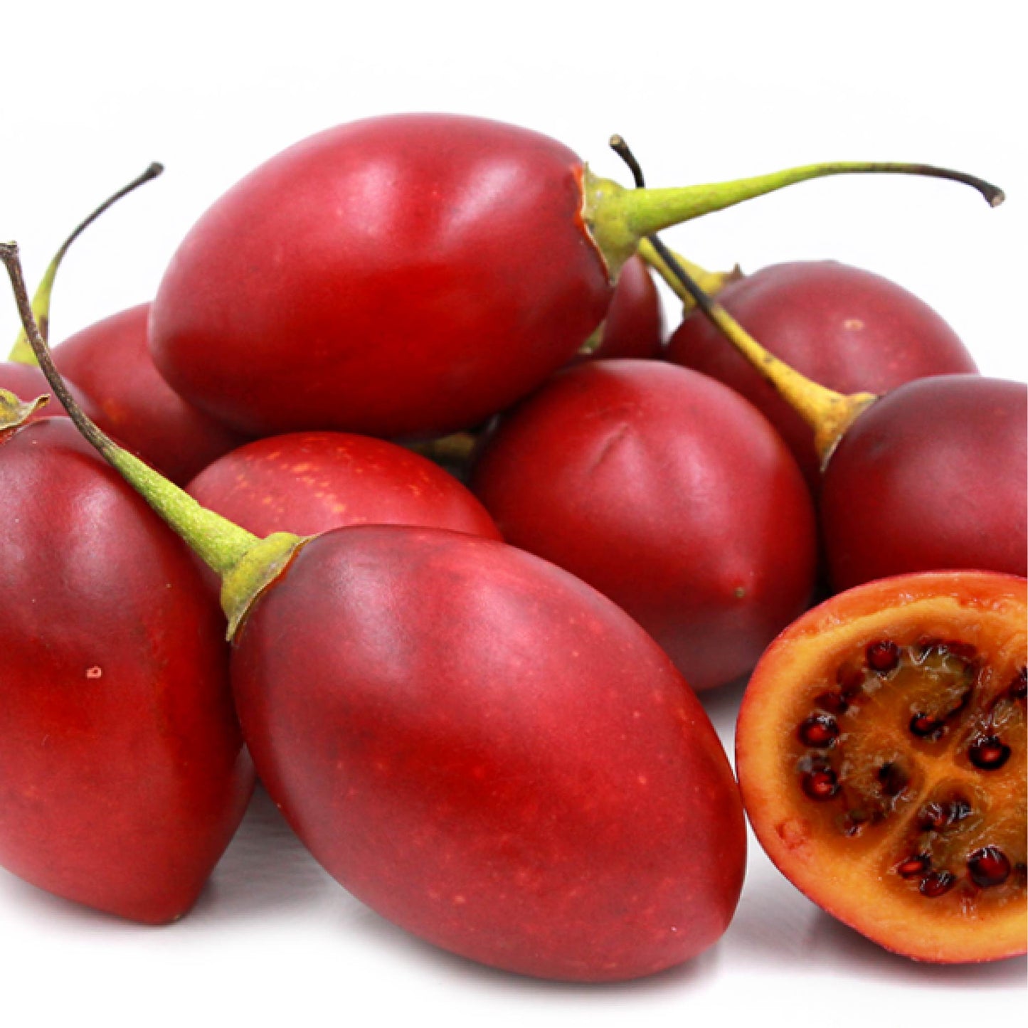 Tomate de árbol injerto libra cosecha orgánica