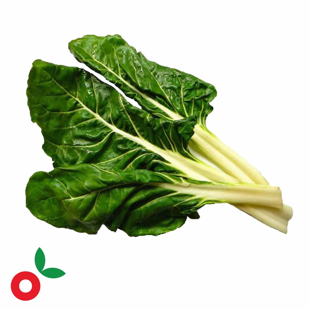 Acelga blanca atado cosecha orgánica