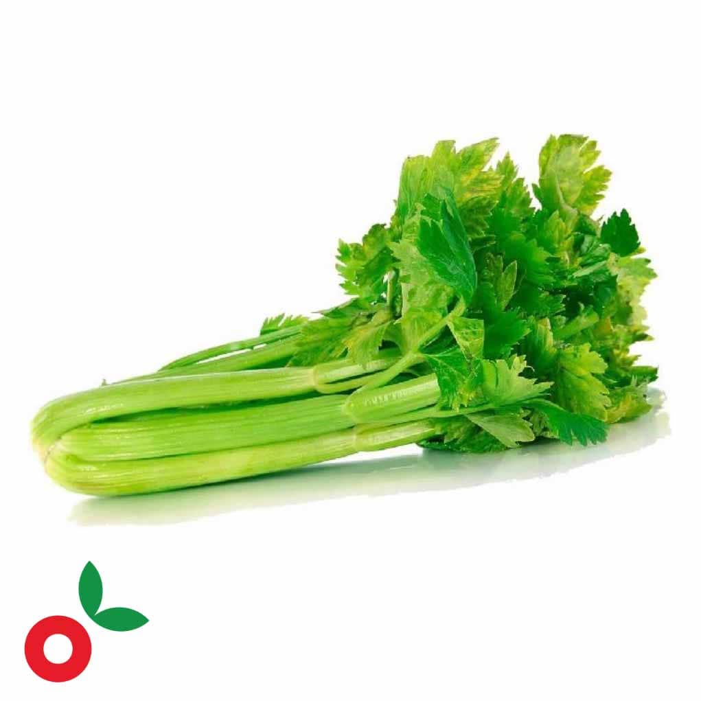 Apio atado cosecha orgánica