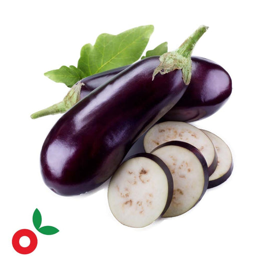 Berenjena libra OFERTA cosecha orgánica