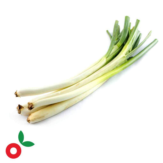 Cebolla larga 1/2 lb OFERTA cosecha orgánica