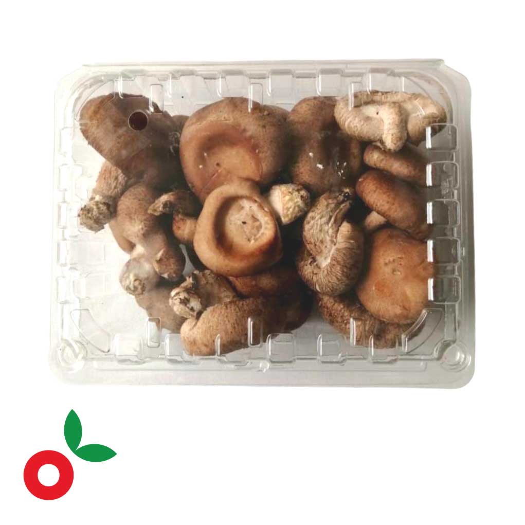 Champiñon Shiitake x 250gr cosecha orgánica