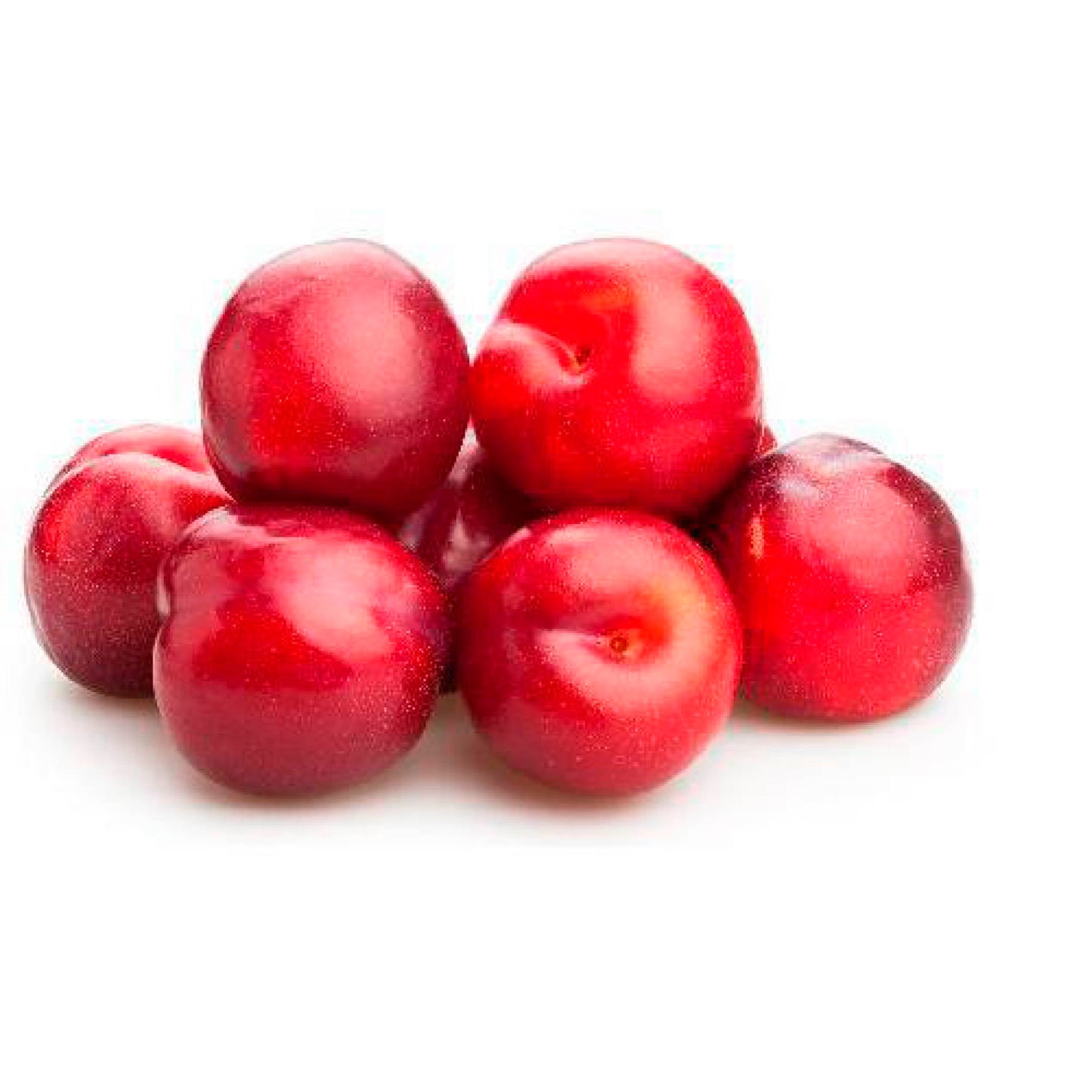 Ciruela roja x libra cosecha orgánica