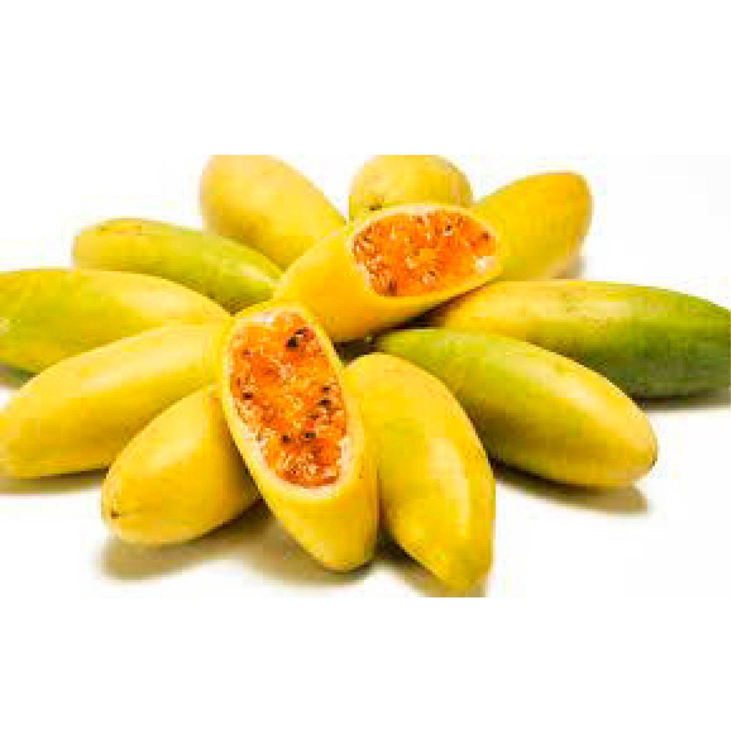 Curuba libra cosecha orgánica