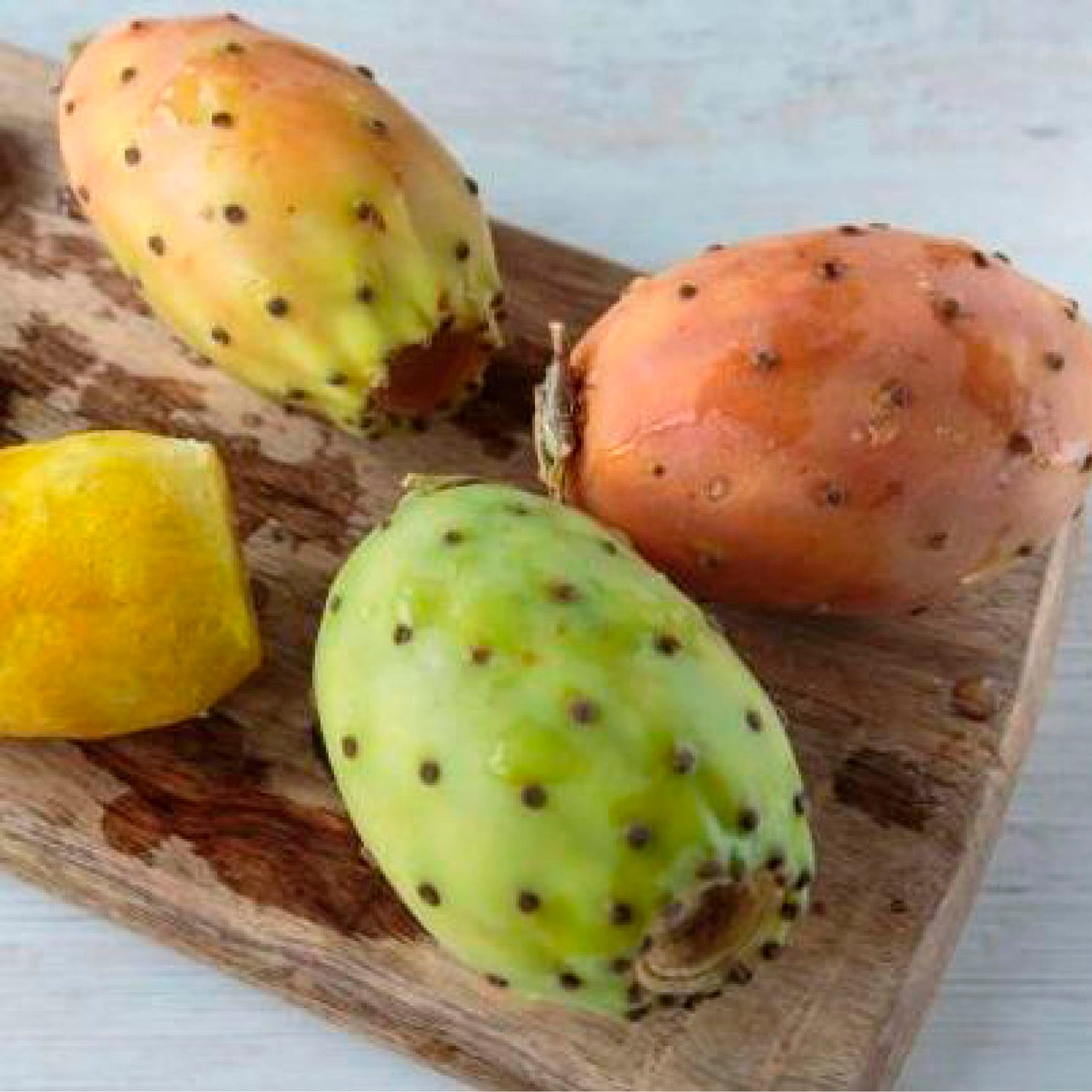 Higo de nopal x 1Lb cosecha orgánica