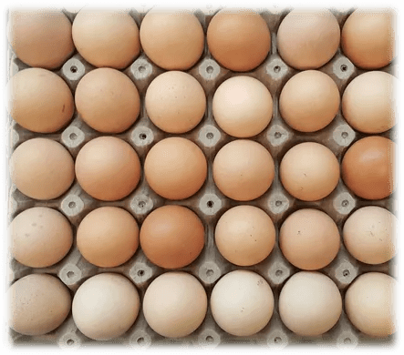 Huevos 100% criollos de gallinas felices x 12 unidades