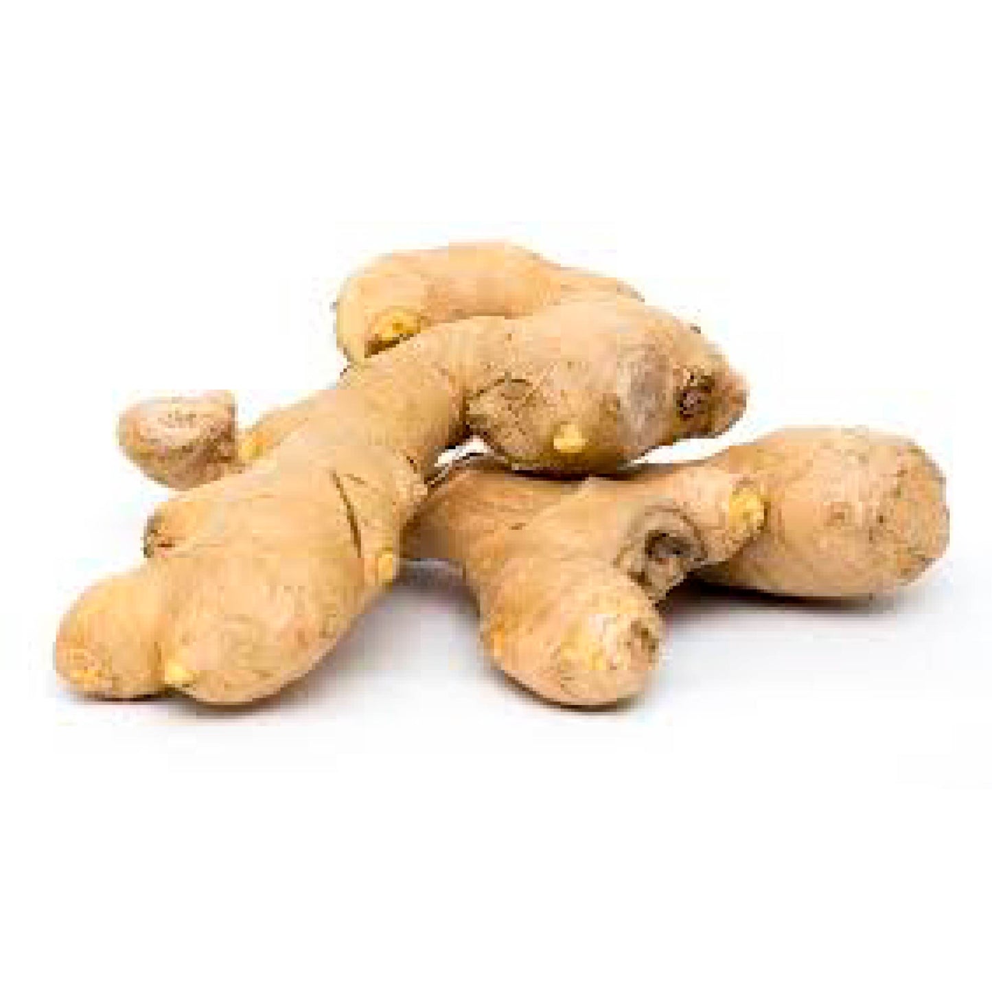 Jengibre raiz x 125gr cosecha orgánica