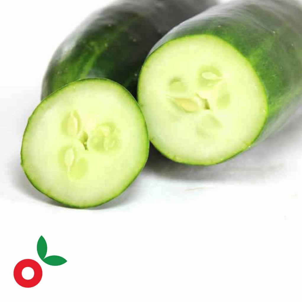 Pepino Cohombro unidad cosecha orgánica
