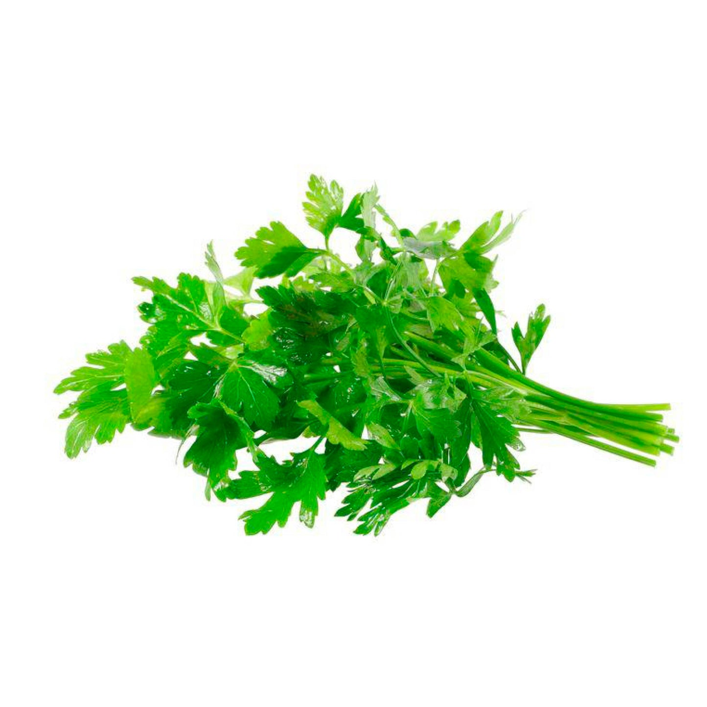 Perejil Liso fresco orgánico x 100 gr