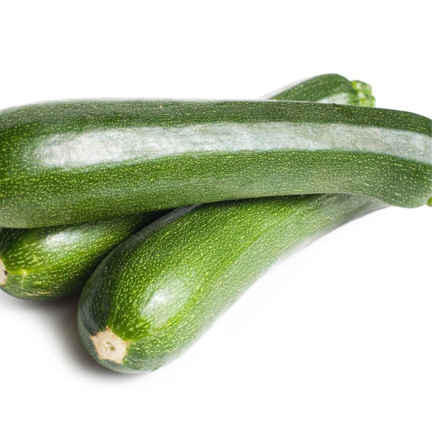 Zuccini verde Unidad cosecha orgánica