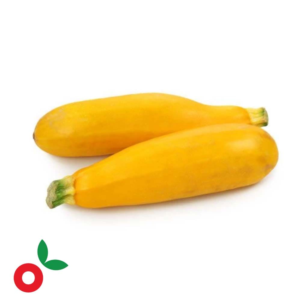 Zuccini amarillo Unidad cosecha orgánica
