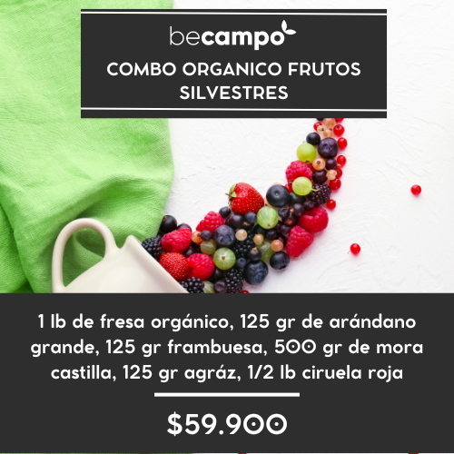 Combo orgánico frutos silvestres