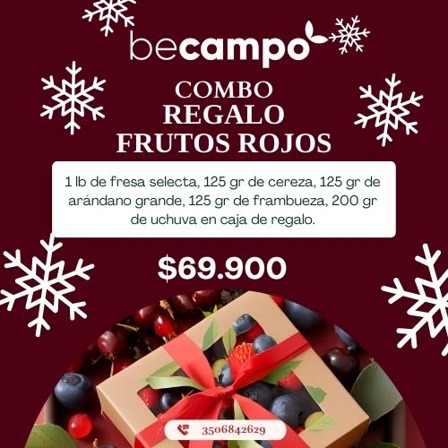 Combo regalo frutos rojos