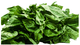 Albahacon fresco X 50 gramos cosecha orgánica