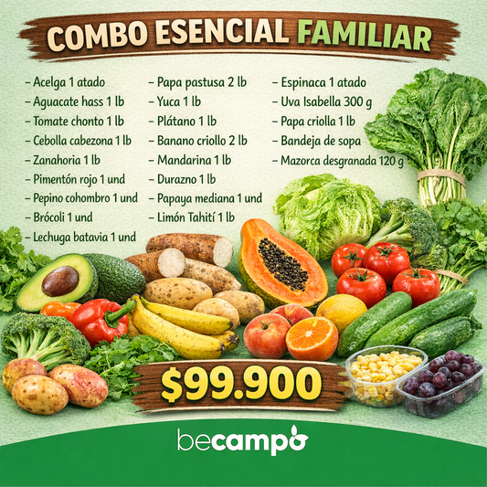 Combo esencial familiar