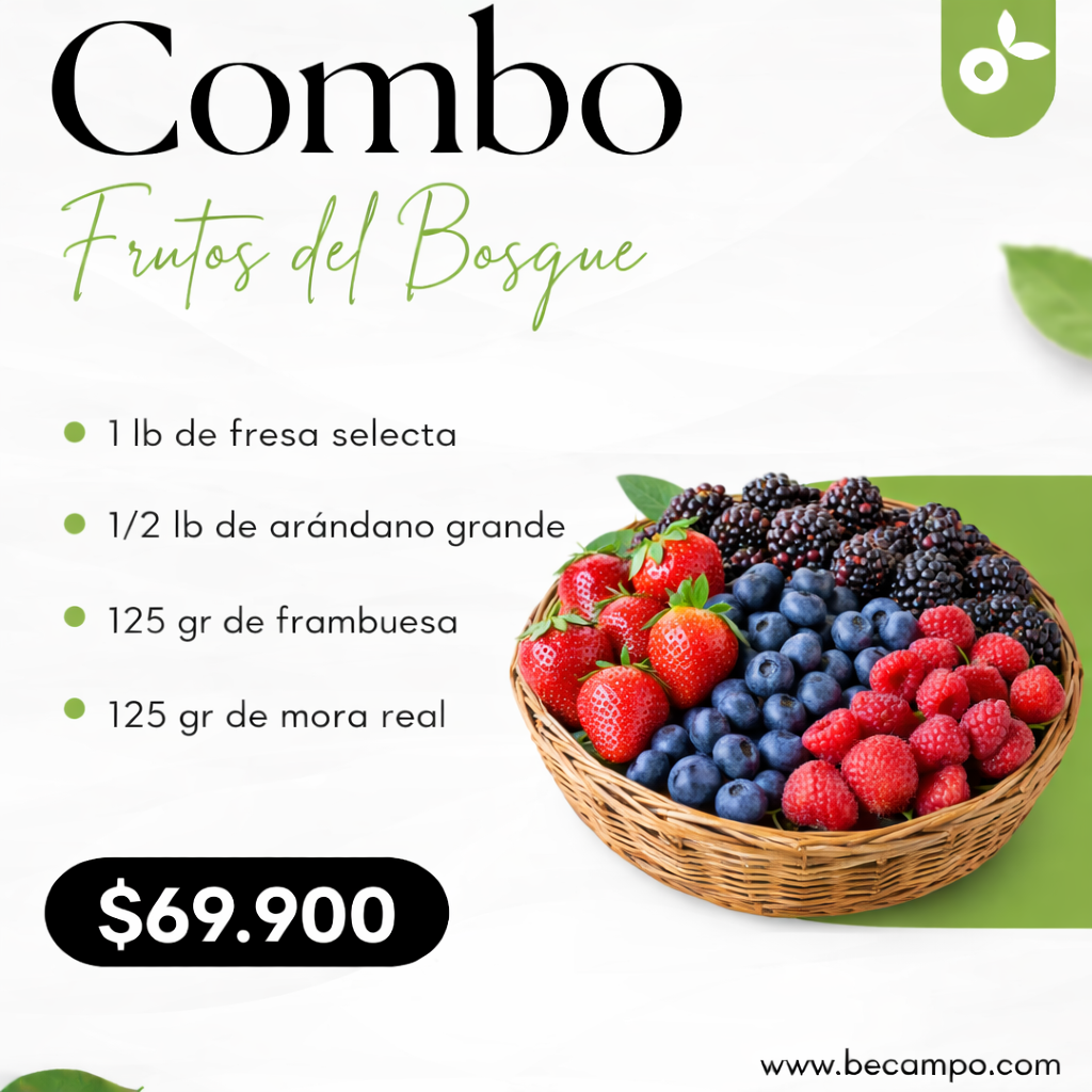 Combo frutos del bosque