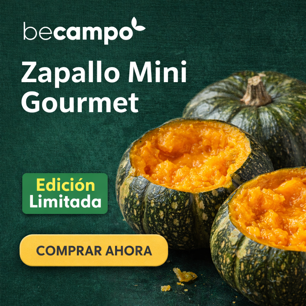 Zapallo Mini Gourmet Orgánico – Ideal para Bebés, Purés y Cremas | Becampo