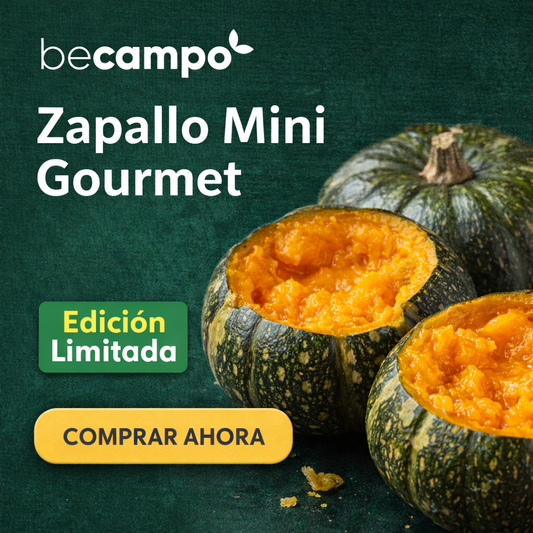 Zapallo Mini Gourmet Orgánico – Ideal para Bebés, Purés y Cremas | Becampo