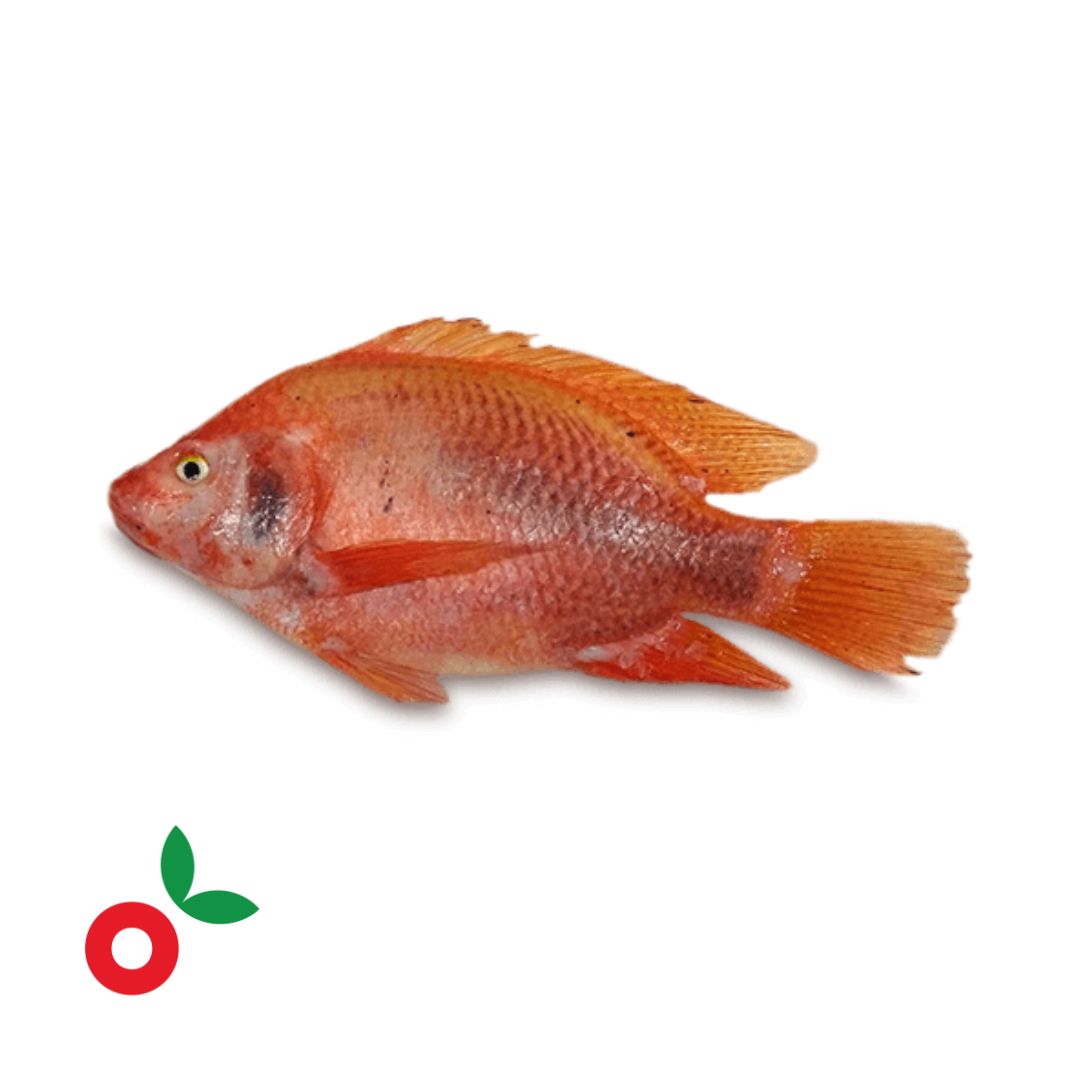 Mojarra roja unidad 250 gr aprox