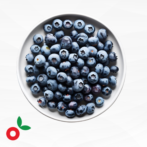 Arandano Mediano x 500gr cosecha orgánica