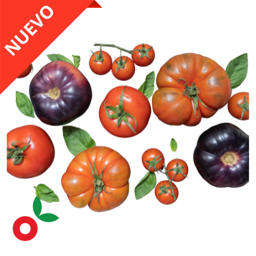 Mix de tomates gourmet kilo