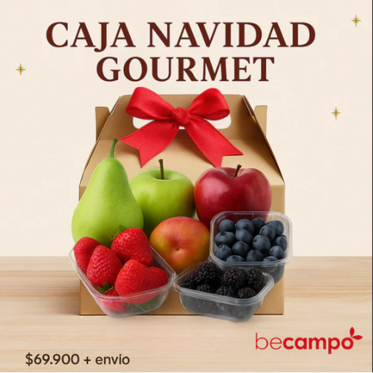 Caja navidad gourmet