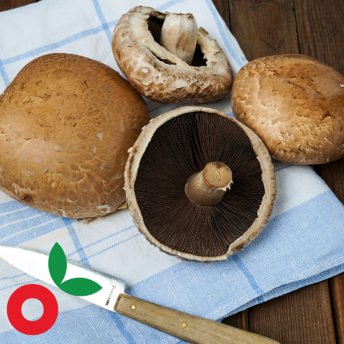 Champiñón Portobello  x 350gr cosecha orgánica