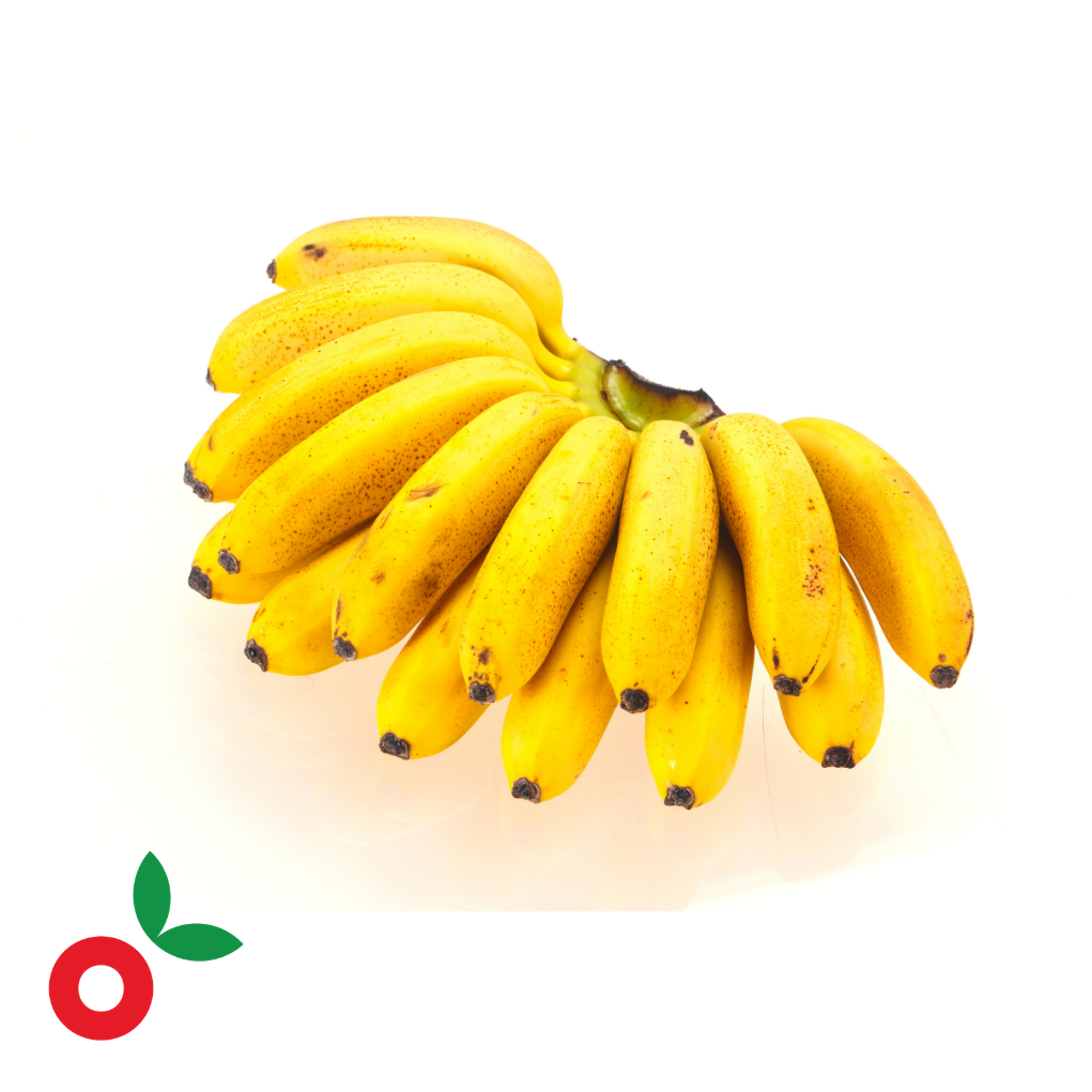Banano bocadillo kilo cosecha orgánica