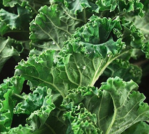 Kale rizado x 200 gr cosecha orgánica