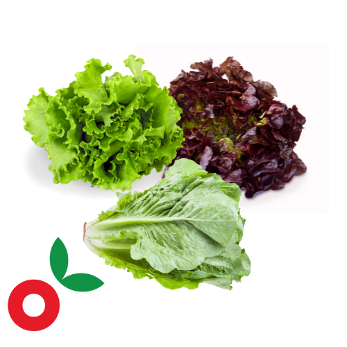Mix lechugas x 250 gr