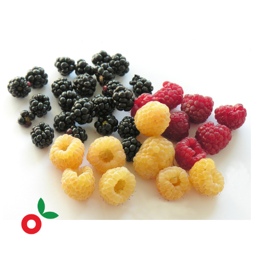 Mix de frambuesas x 125 gr