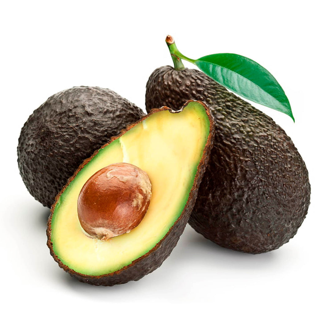 Aguacate hass libra cosecha orgánica