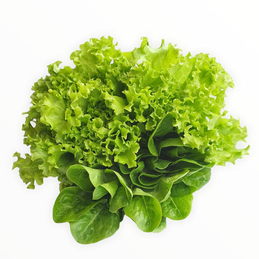 Mix de lechuga crespa + cogollos  orgánicos x 250 gr