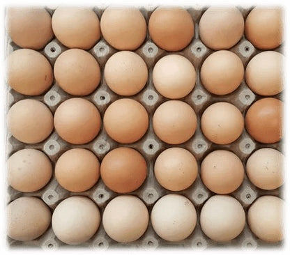 Huevos orgánicos 100% criollos de gallinas felices x 30 unidades