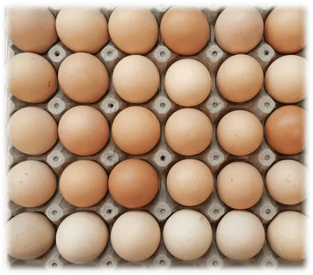 Huevos orgánicos 100% criollos de gallinas felices x 6 unidades