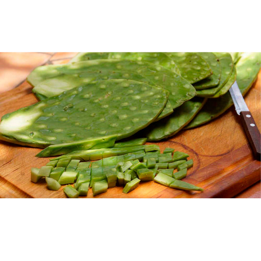 Hoja de Nopal cosecha orgánica