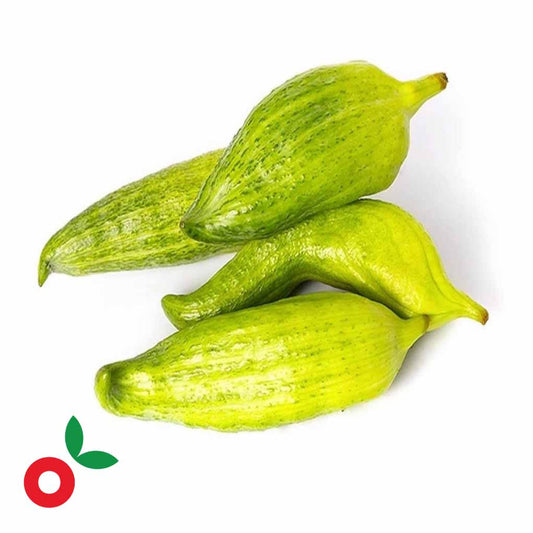 Pepino de guiso libra cosecha orgánica