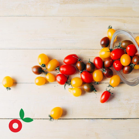 Tomate cherry de colores cultivo orgánico x250 gr