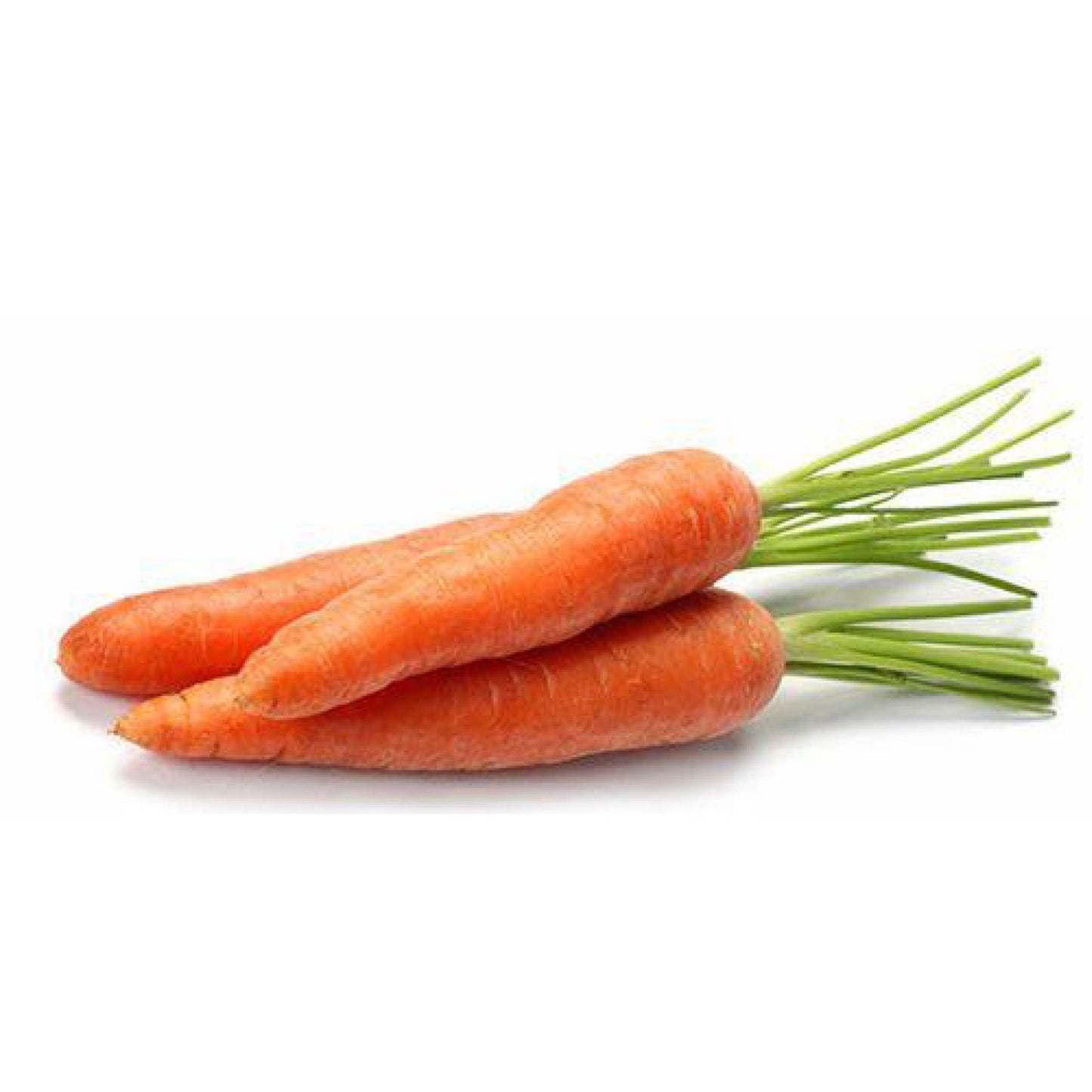 Zanahoria selecta libra cosecha orgánica
